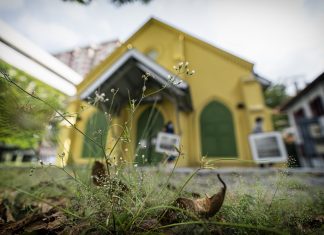 Keeping Singapore’s Arts and Heritage Alive Staff of the Objectifs Centre for Photography and Film return to their centre for the first time since the start of the Circuit Breaker to find weeds taking over its once-pristine forecourt. They take the opportunity to start moving framed photographs from their last exhibition before closing from the Chapel Gallery to the administrative block to prepare for the next phase of re-opening.