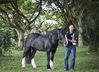 Hazrin Chong Abdullah: Turning a Passion for Horse Riding into a Tool for Therapy Mr Hazrin Chong Abdullah, qualified equestrian coach and riding instructor at RDA Singapore has spent the last three decades working with horses and now helps riders with special needs.