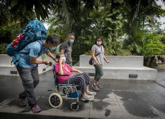 Forest Bathing in the Singapore Botanic Gardens Does Wonders for Mental Health Mr Ding Kian Seng’s quiet confidence instantly sets Madam Norah at ease. Madam Norah, 74, was bound to her wheelchair after a stroke in October 2019 affected her speech, mobility and memory. When Mr Ding took over the work of pushing her chair, it offered respite for her youngest daughter and primary caregiver, Ms Nadia Daeng.